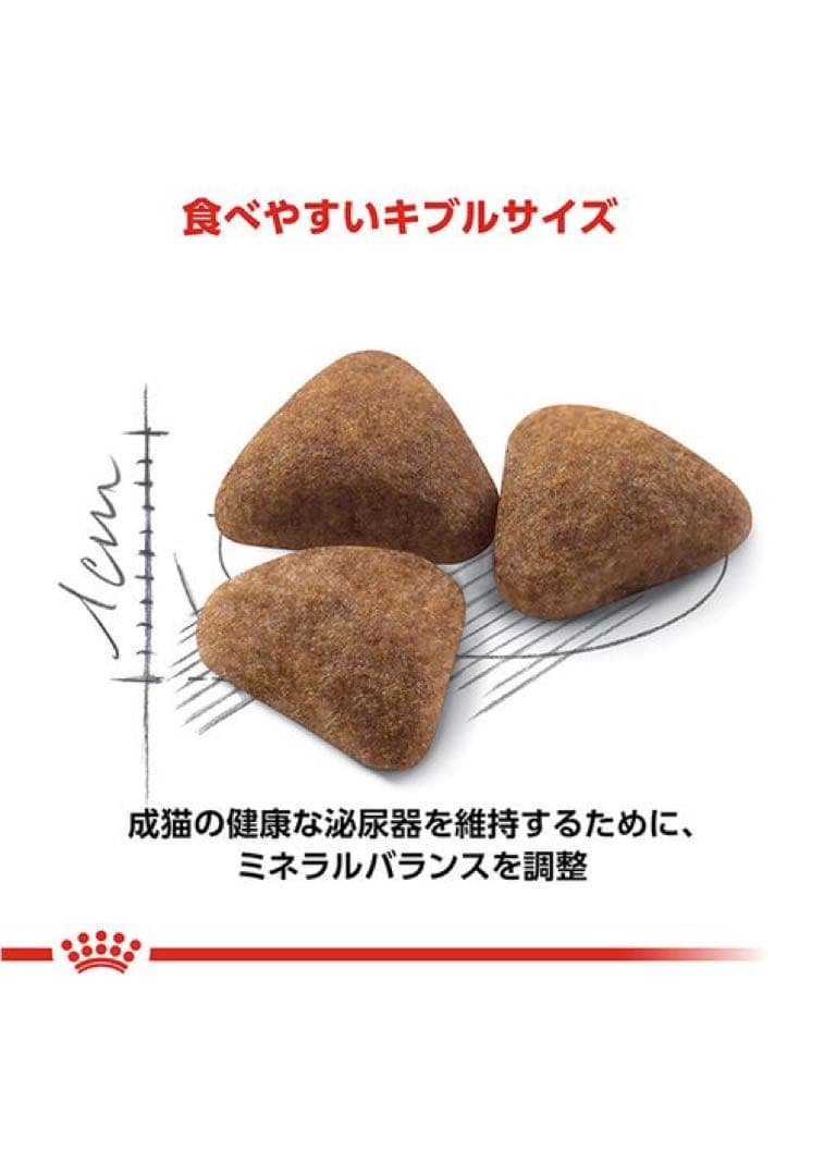 ① CANIN 室内で生活する成猫用 10kg